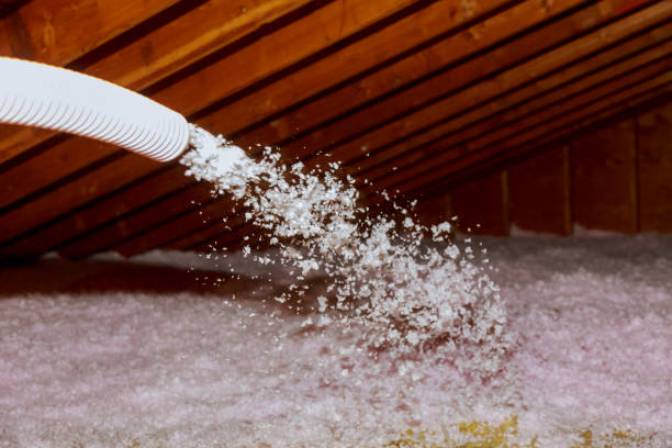 Best Spray Foam Insulation in Oronogo, MO
